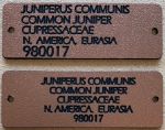 Engraved Label 1-1/8" x 3-3/4"  