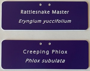 Engraved Label 2" x 6" 