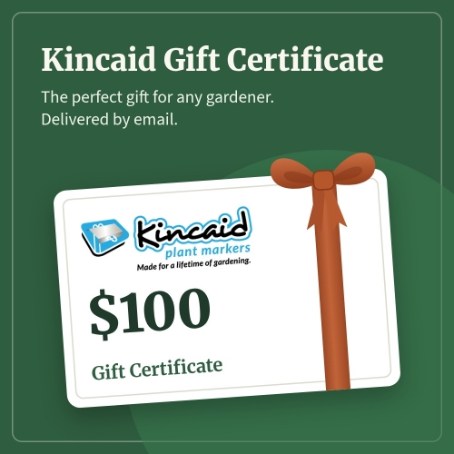 Kincaid $100 Gift Certificate